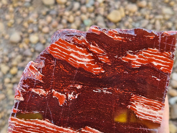 Polished Snakeskin Jasper SS218