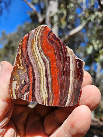 Polished  Snakeskin Jasper slab SS219