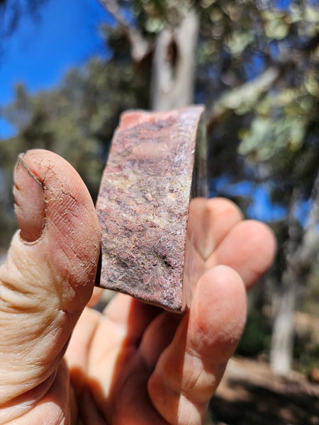 Polished  Snakeskin Jasper slab SS219