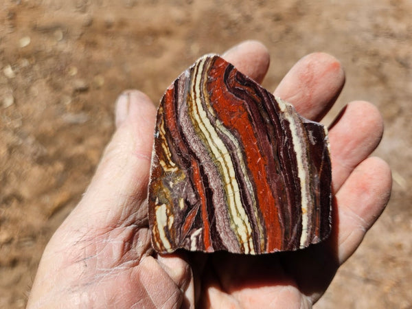 Polished  Snakeskin Jasper slab SS219