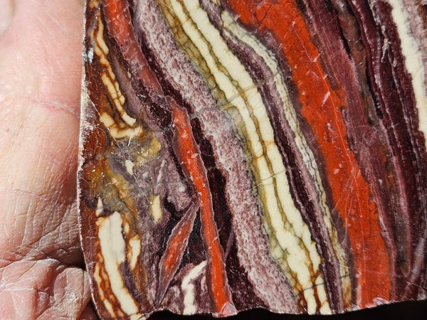Polished  Snakeskin Jasper slab SS219