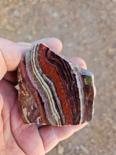 Polished  Snakeskin Jasper slab SS219