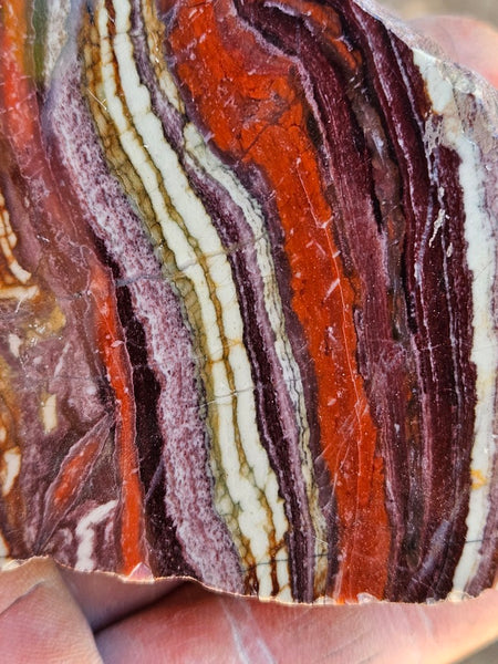 Polished  Snakeskin Jasper slab SS219