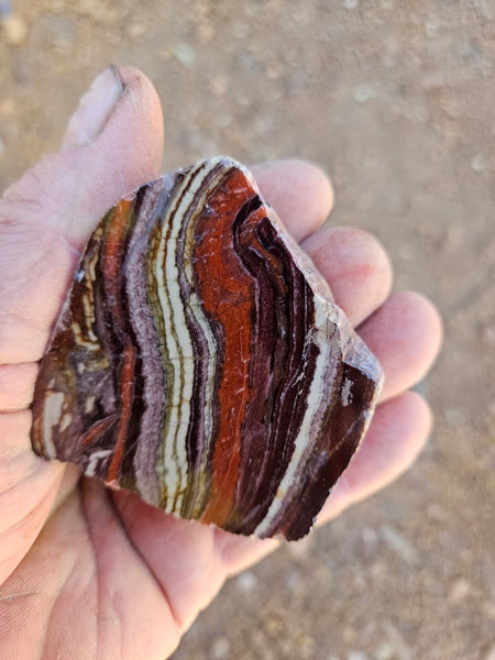 Polished  Snakeskin Jasper slab SS219
