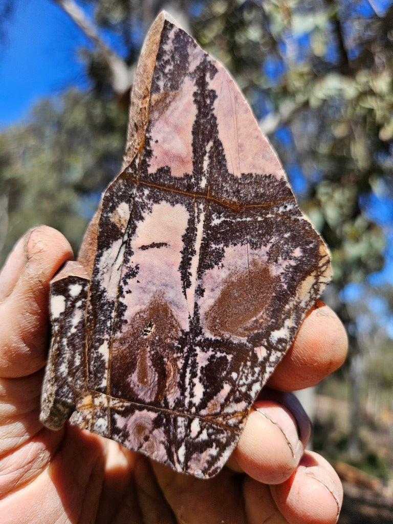 Polished Outback Jasper slab OJ203