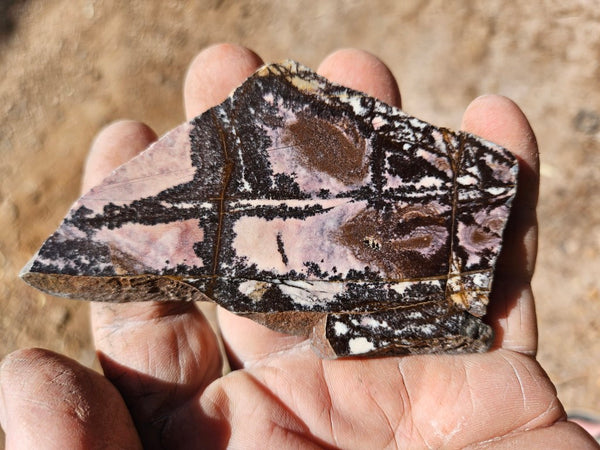 Polished Outback Jasper slab OJ203