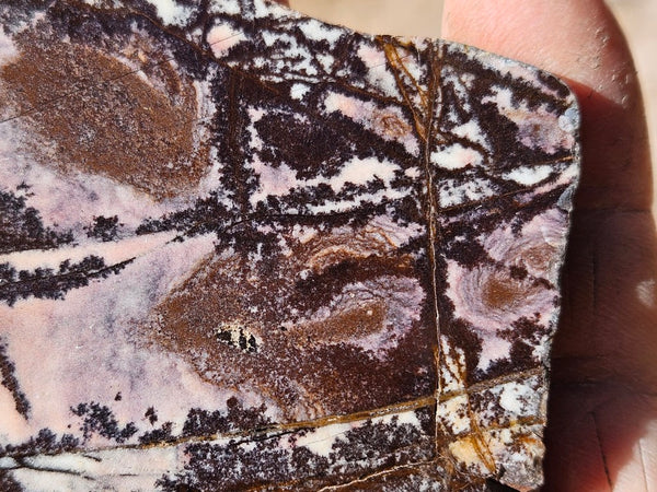Polished Outback Jasper slab OJ203