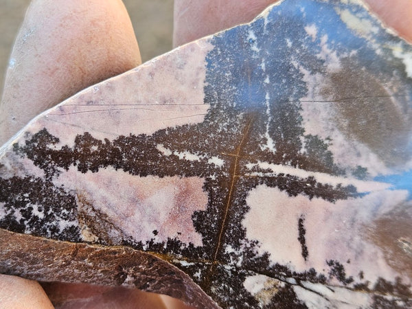 Polished Outback Jasper slab OJ203