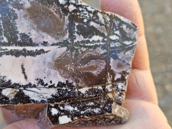 Polished Outback Jasper slab OJ203