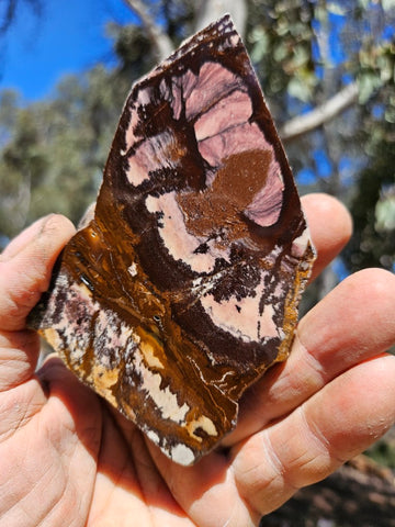Polished Outback Jasper slab OJ204