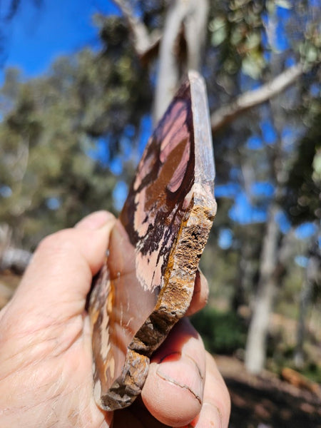 Polished Outback Jasper slab OJ204