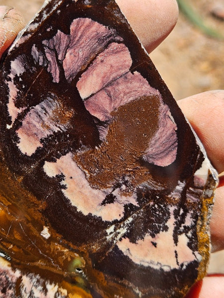 Polished Outback Jasper slab OJ204