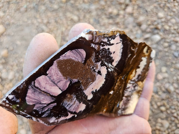 Polished Outback Jasper slab OJ204