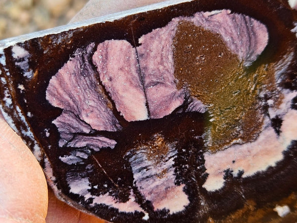 Polished Outback Jasper slab OJ204