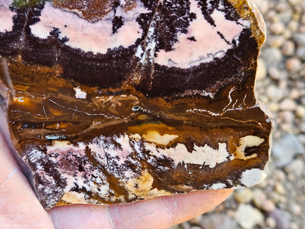 Polished Outback Jasper slab OJ204