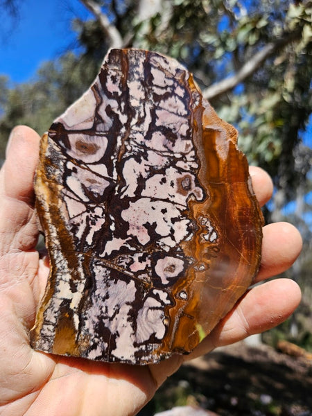 Polished Outback Jasper slab OJ205