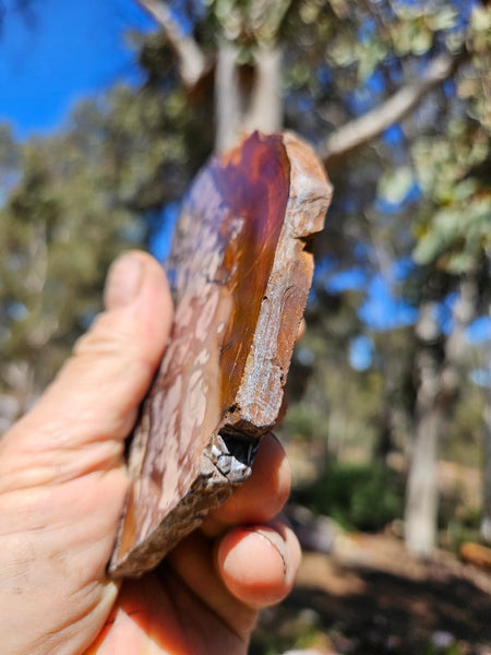 Polished Outback Jasper slab OJ205