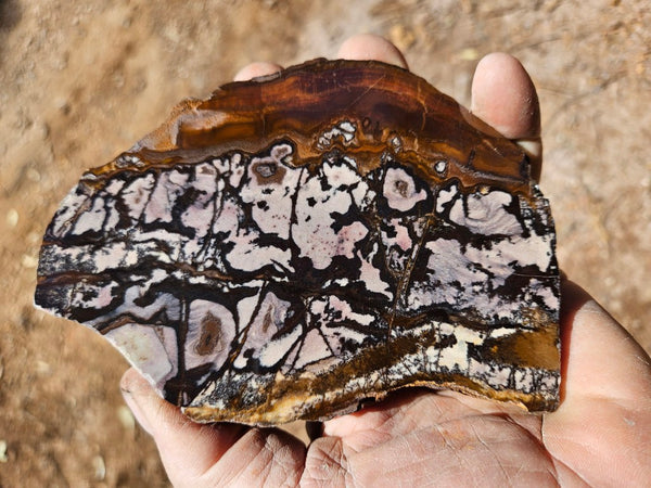 Polished Outback Jasper slab OJ205