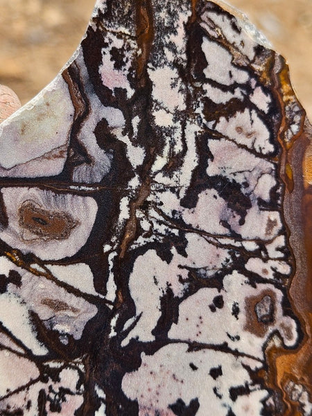 Polished Outback Jasper slab OJ205