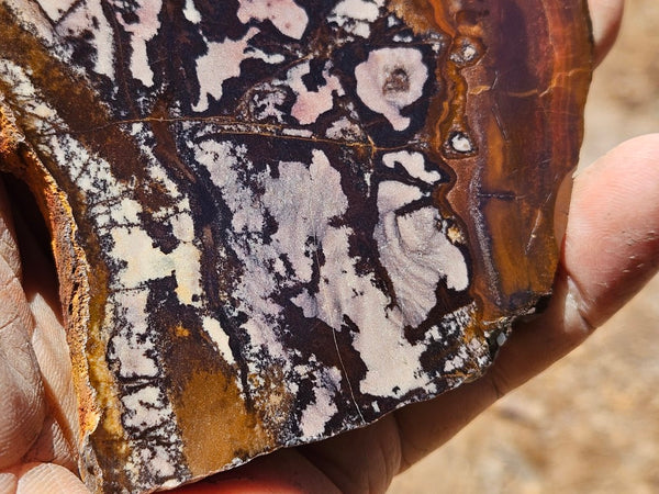 Polished Outback Jasper slab OJ205