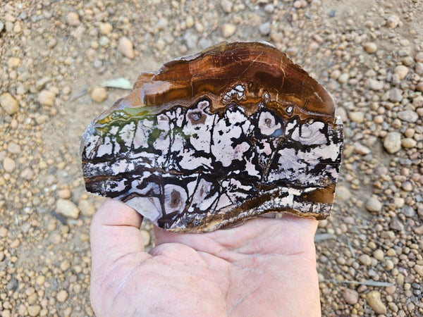 Polished Outback Jasper slab OJ205