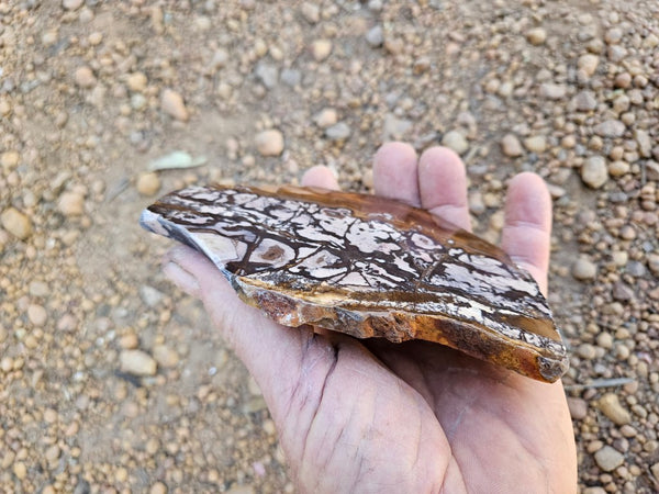 Polished Outback Jasper slab OJ205