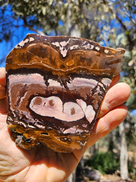 Polished Outback Jasper slab OJ206