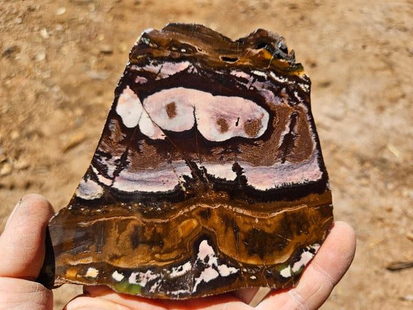 Polished Outback Jasper slab OJ206