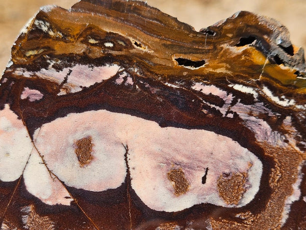 Polished Outback Jasper slab OJ206
