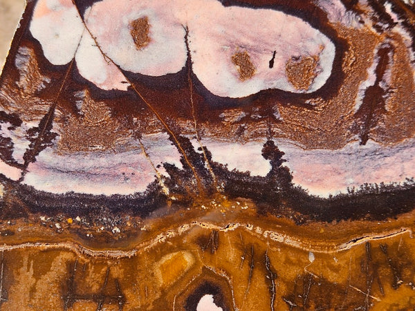 Polished Outback Jasper slab OJ206