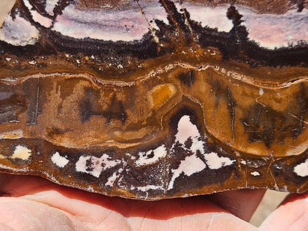 Polished Outback Jasper slab OJ206