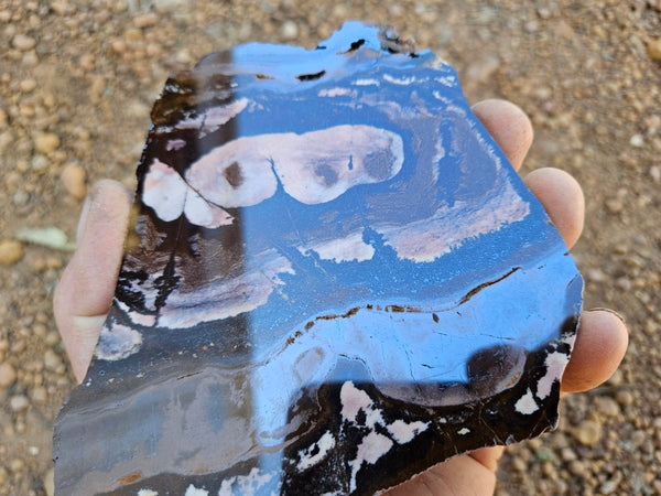 Polished Outback Jasper slab OJ206