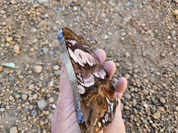 Polished Outback Jasper slab OJ206