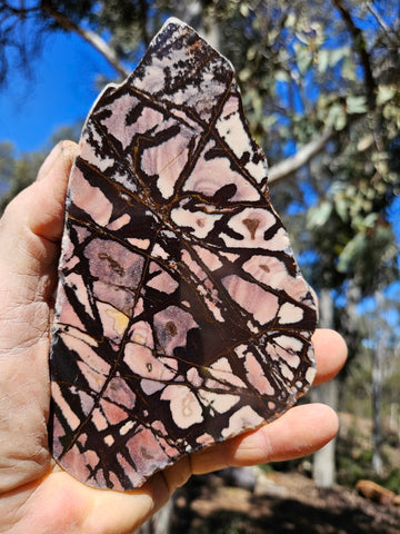 Polished Outback Jasper  OJ207