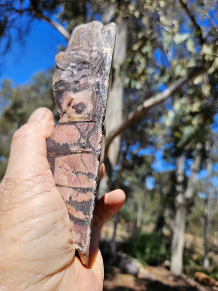 Polished Outback Jasper  OJ207