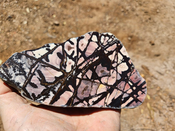 Polished Outback Jasper  OJ207