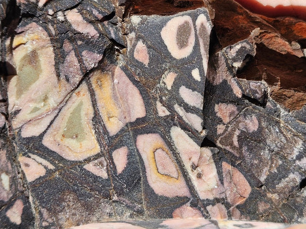 Polished Outback Jasper  OJ207