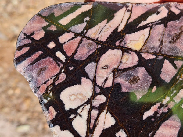 Polished Outback Jasper  OJ207