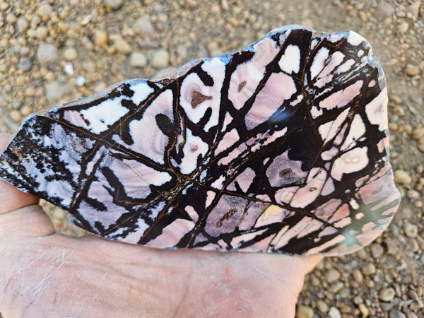 Polished Outback Jasper  OJ207