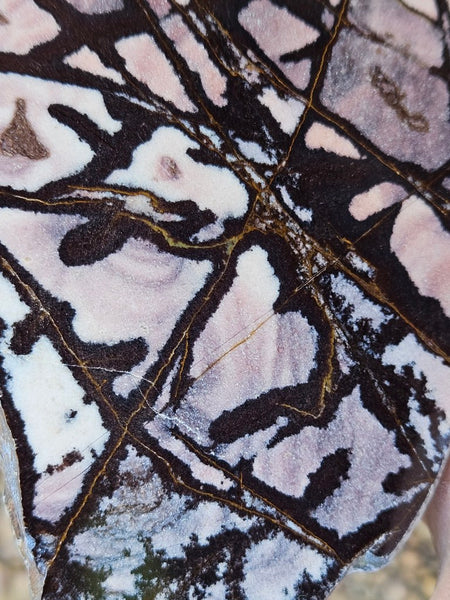 Polished Outback Jasper  OJ207