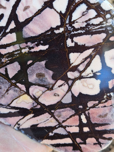 Polished Outback Jasper  OJ207