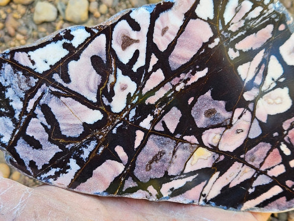 Polished Outback Jasper  OJ207