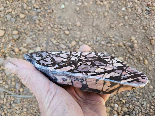 Polished Outback Jasper  OJ207