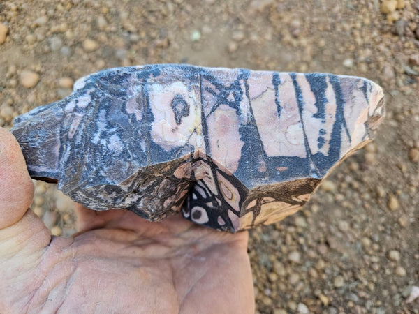 Polished Outback Jasper  OJ207