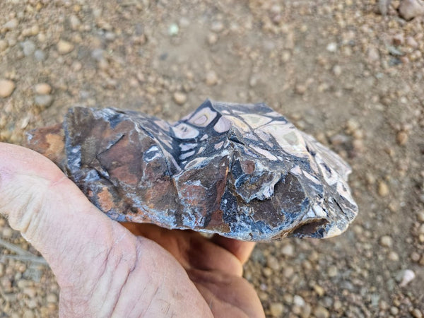 Polished Outback Jasper  OJ207