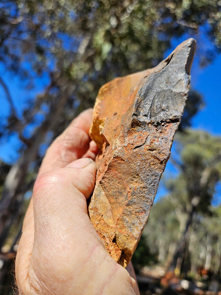 Polished fossil stromatolite. Strelley Pool Formation SPF135