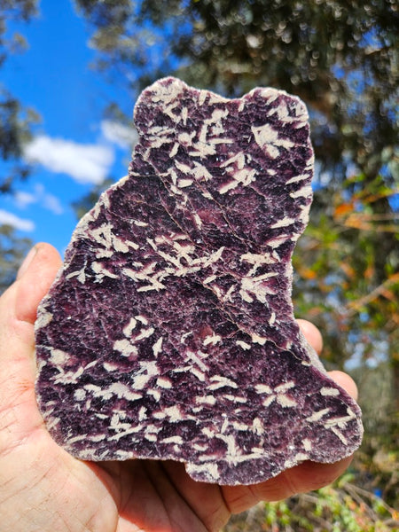 Polished Lepidolite  LEP233