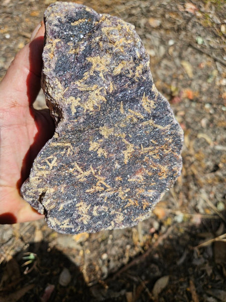 Polished Lepidolite  LEP233