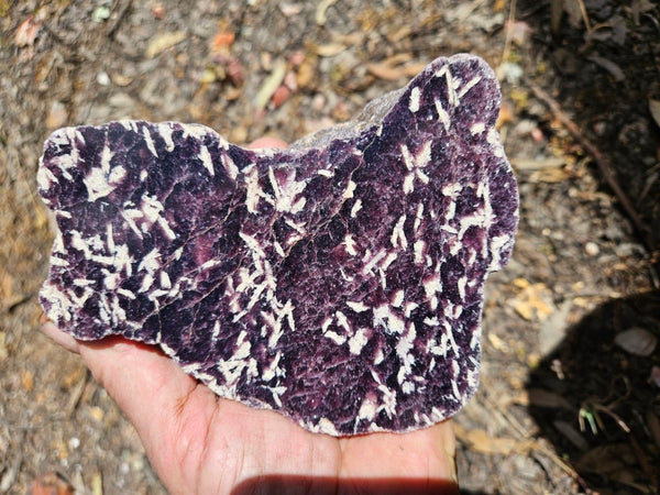 Polished Lepidolite  LEP233