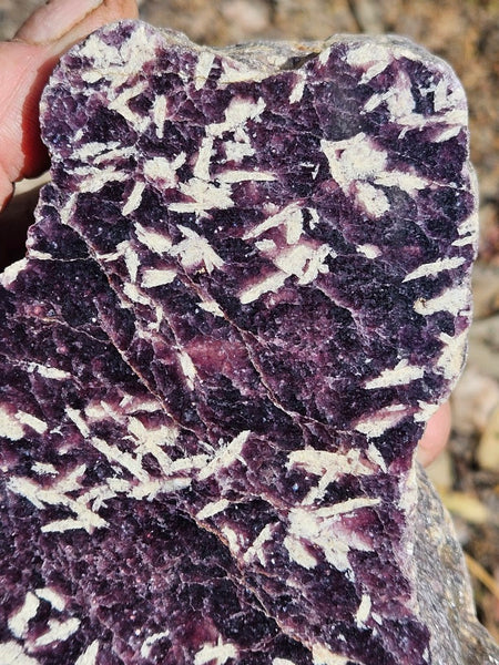 Polished Lepidolite  LEP233